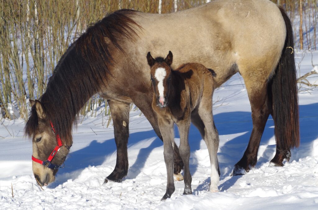 475848668 600467086062959 6496003739482474997 n