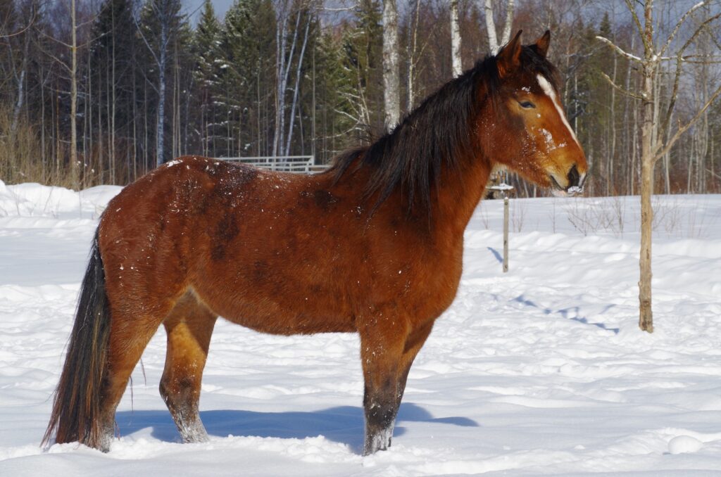 477277766 607875175322150 5633117831958720273 n