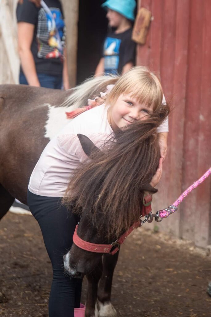 481242450 622373940538940 4862199786026235403 n