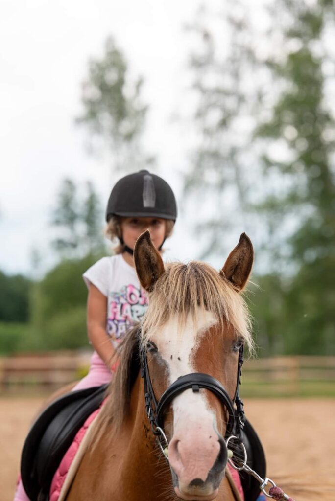 481256025 622247727218228 4608107296629485631 n