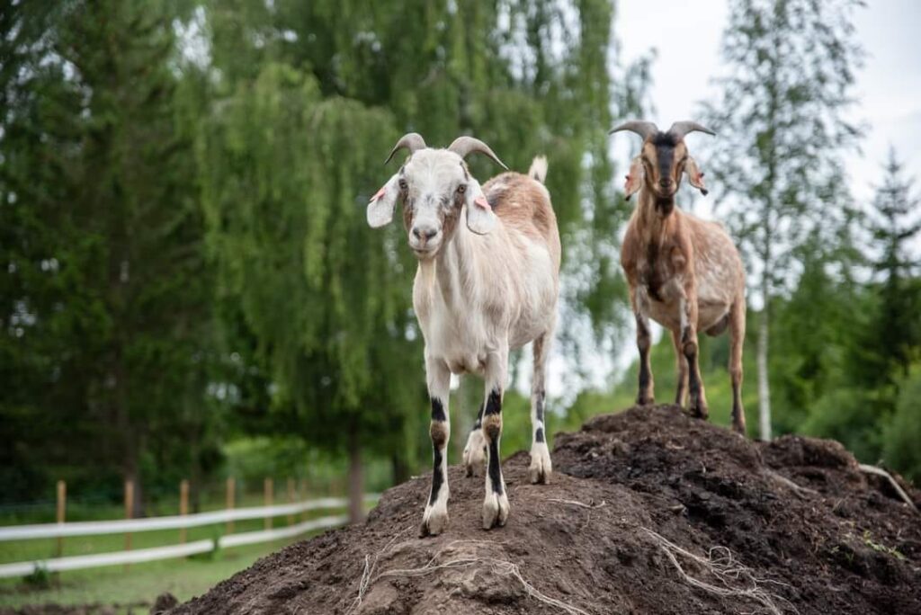 481275266 622247733884894 4662939867067587590 n