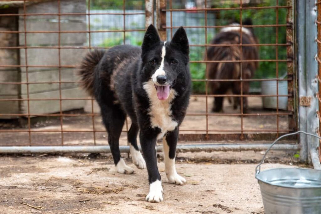 481469376 622247970551537 341497988240643921 n