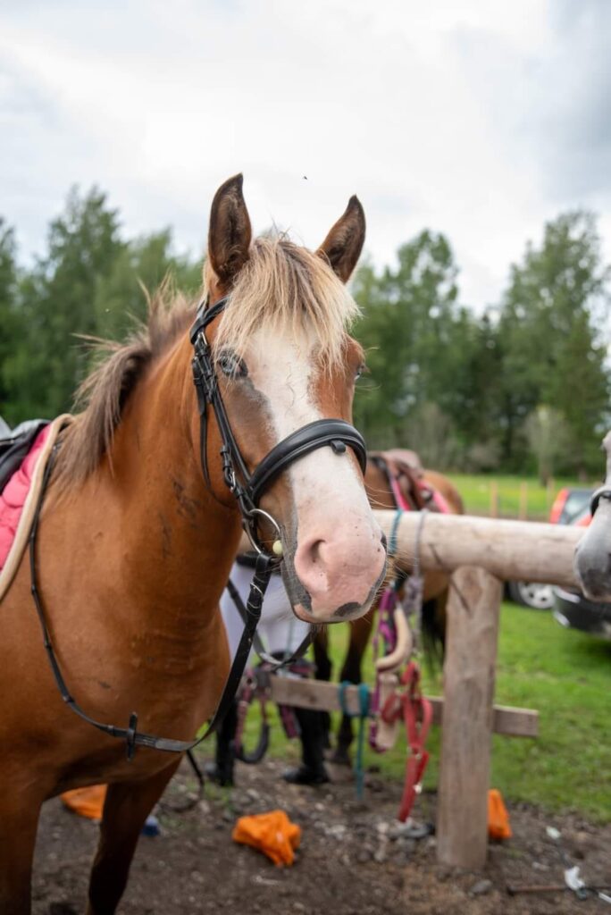 481998827 622247573884910 6863289807090761275 n