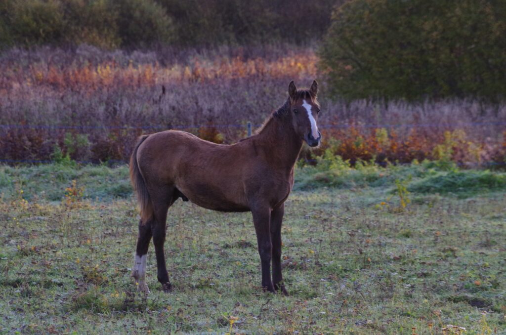 482302175 626855216757479 1422504743786847516 n