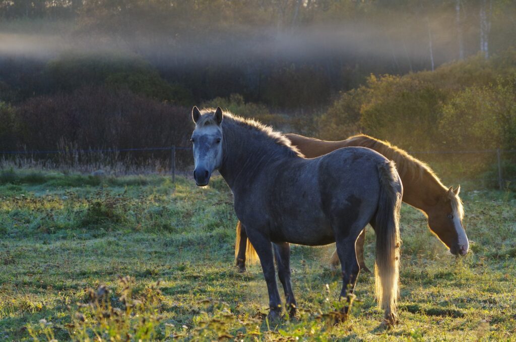 482807063 626855200090814 6645116142570728805 n