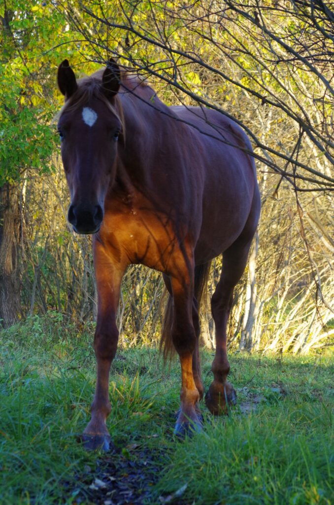 482808426 626855340090800 2961361805587120029 n