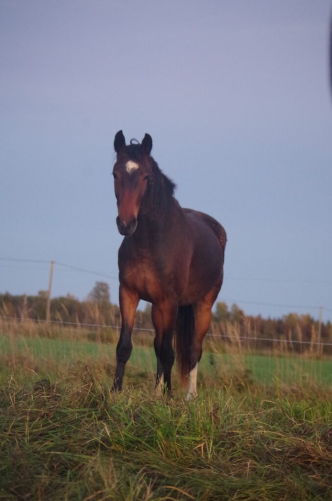 483417006 626855193424148 141451347965750291 n