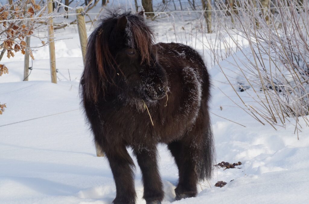 51229967 2609331492426857 7539281434146504704 n