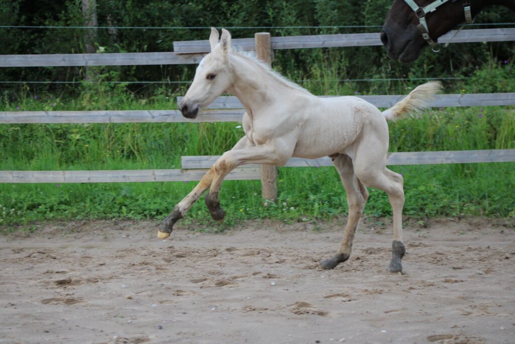 531404340 744048098371523 3615613805646135876 n