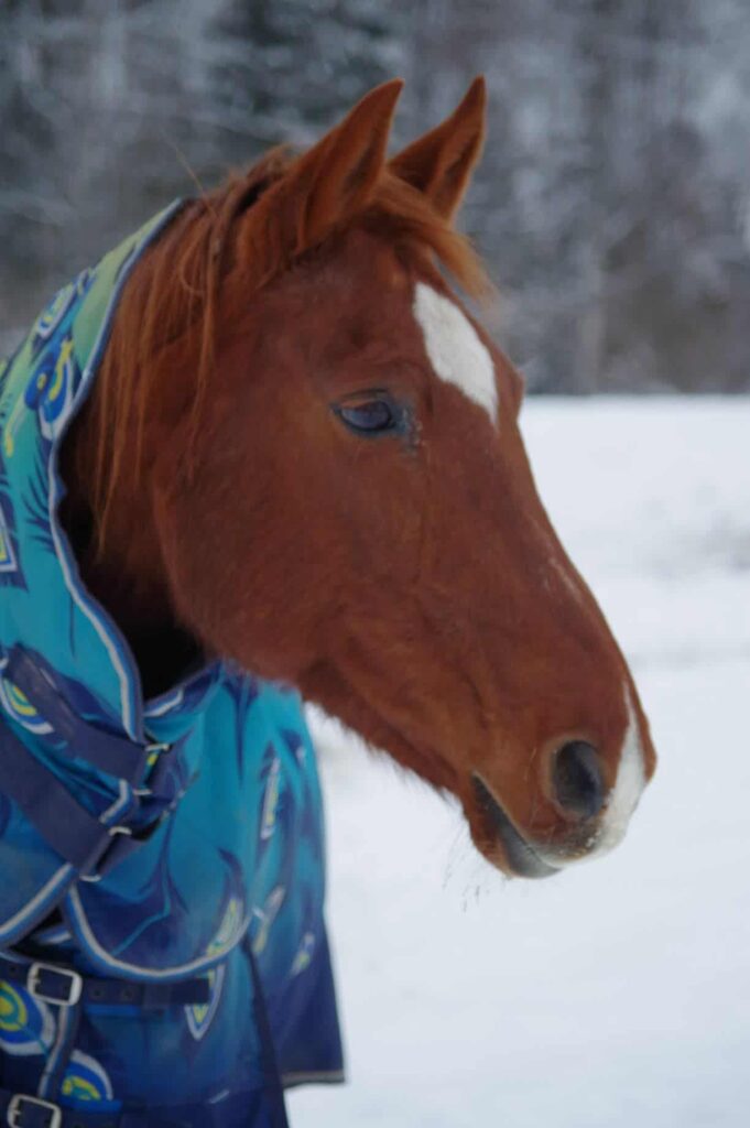 598688596 844171245282205 3590959726495995068 n