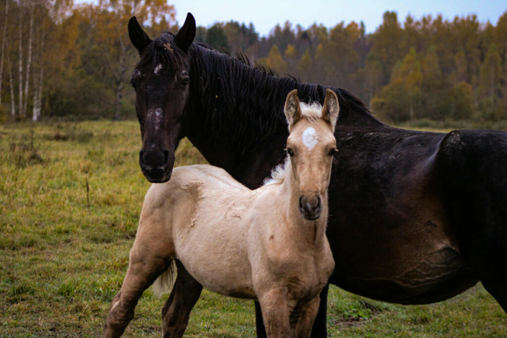 601102994 895158099609013 2202881084213091803 n