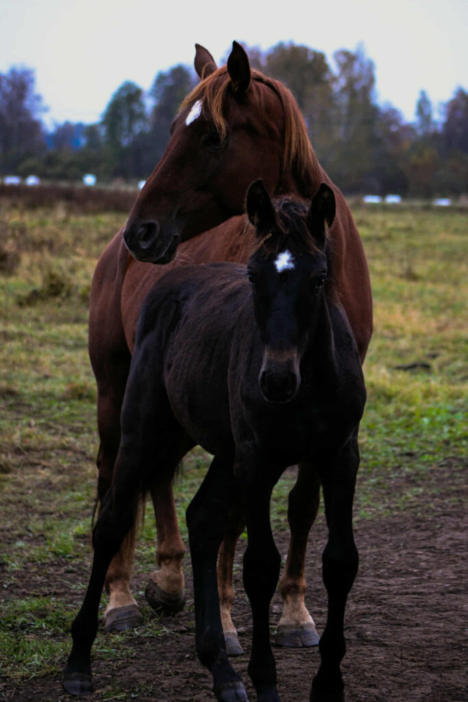 601639710 801161702935642 9111913941587749658 n