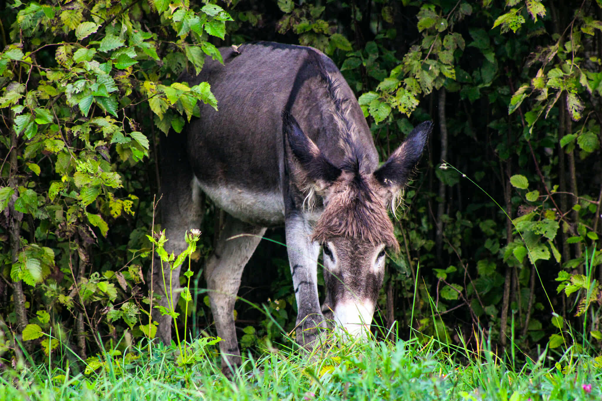 605539597 1236938728344433 4645065671374023669 n