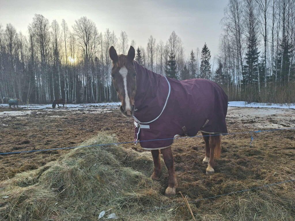 607822153 1540067920448364 8955987515720188162 n