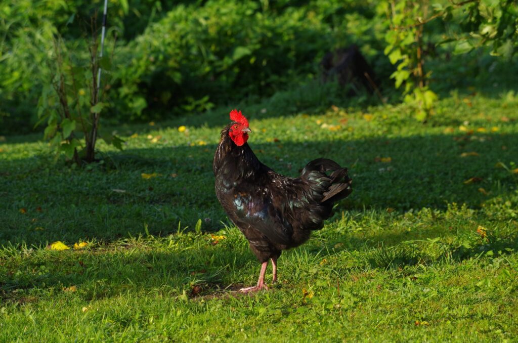 69990983 2989240544435948 7934364880021225472 n